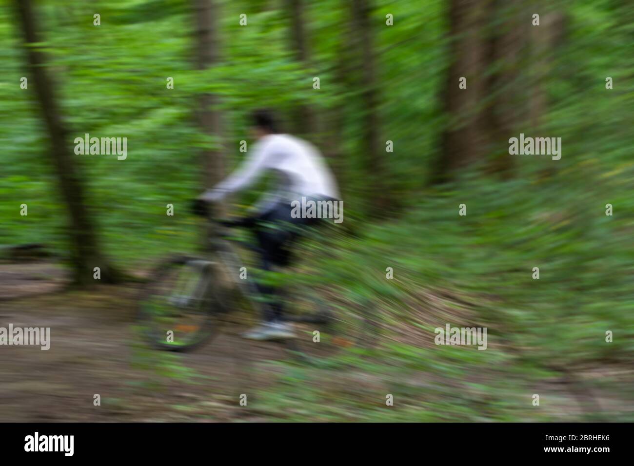Una sfocatura in movimento di un ciclista che cavalca in una foresta Foto Stock