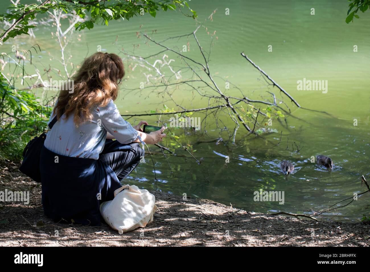 Una donna che fotografa anatre nel lago con il suo smartphone mentre squatting Foto Stock