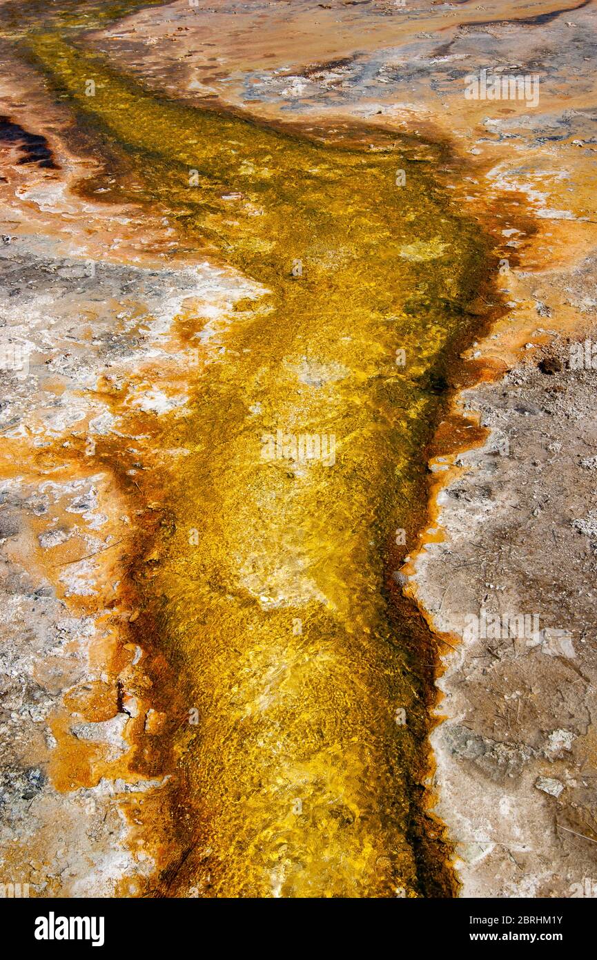 Ruscello giallo da una sorgente calda Foto Stock