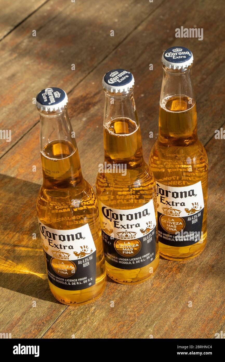 Bottiglie di birra Corona Foto Stock