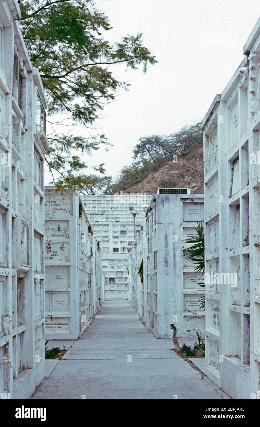 Columbaria, cimitero centrale la Ciudad Blanca (città bianca), 23 aprile 1982, Guayaquil, Ecuador, Sud America Foto Stock