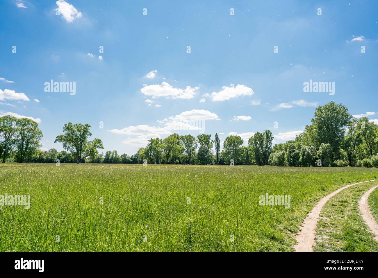 Vista sui prati vicino a Bonn con un sentiero per carri. Una scena primaverile. Foto Stock