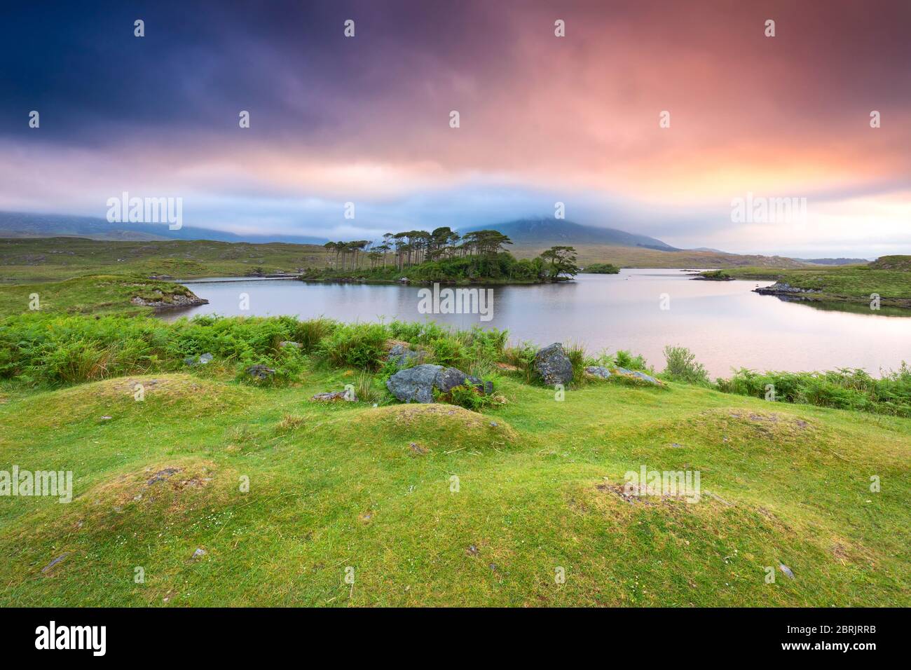 Vista dell'Isola di Pine sul lago Derryclare. Pine Island, Connemara National Park, County Galway, Connecht provincia, Inagh Valley, Irlanda. Foto Stock