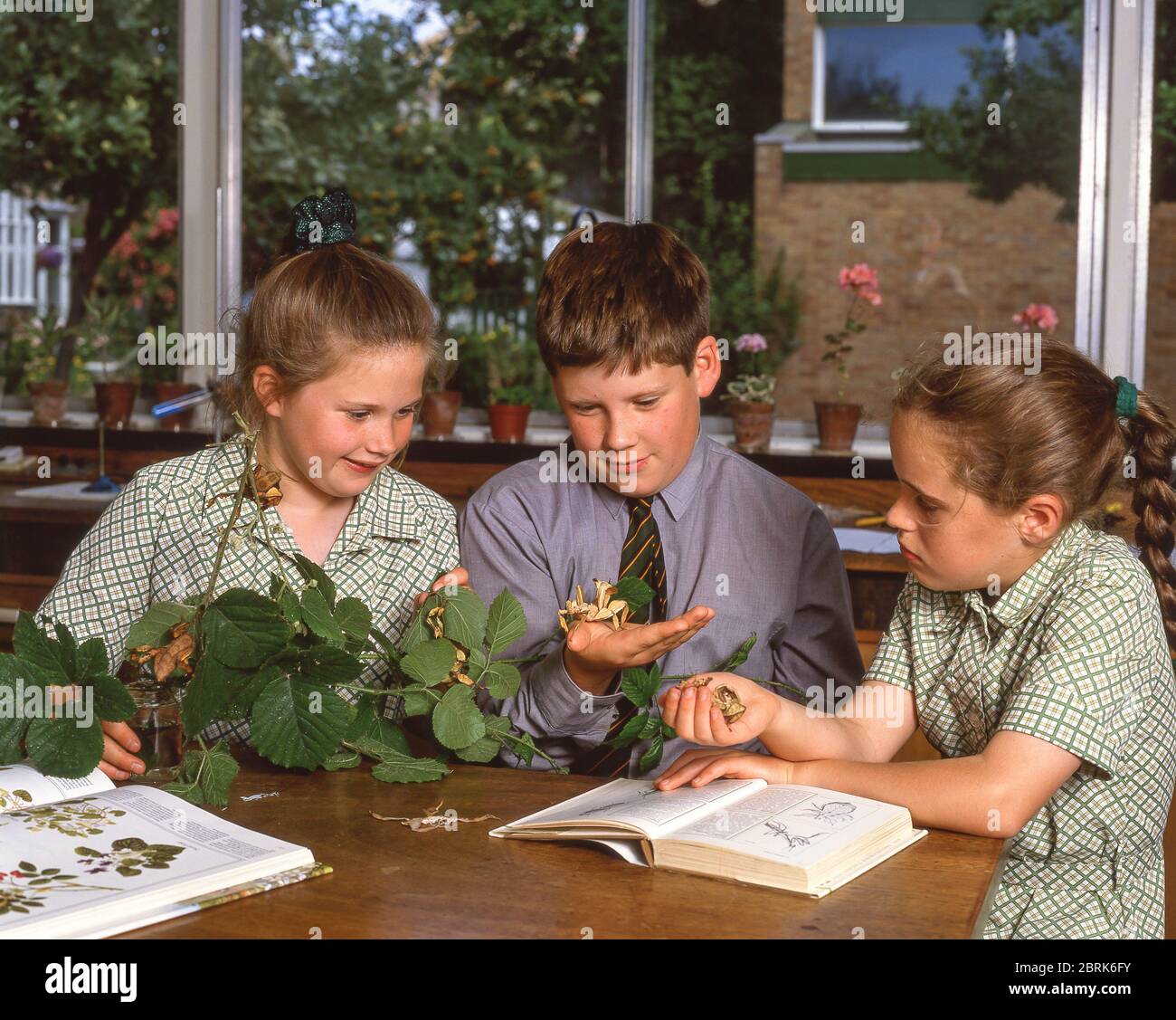 Bambini che guardano le cavallette in classe di biologia, Surrey, Inghilterra, Regno Unito Foto Stock