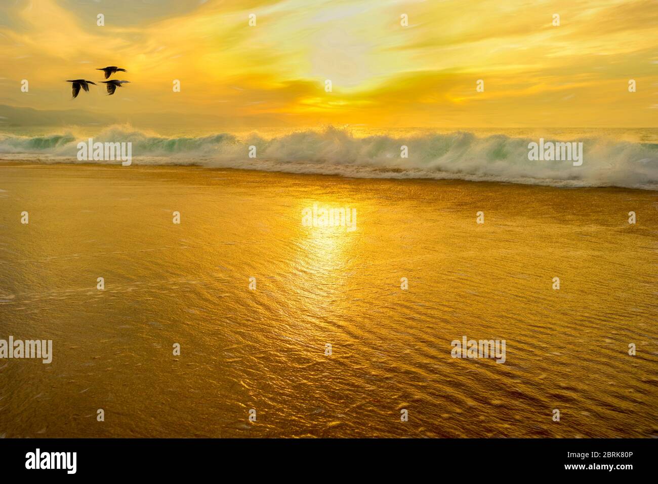 Un piccolo gregge di uccelli che volano sulle onde dell'oceano al tramonto Foto Stock