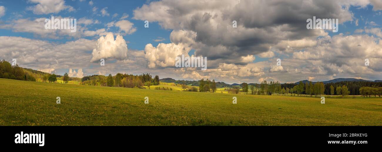 splendido paesaggio con prati, alberi, foreste, sullo sfondo colline boscose e cielo blu con nuvole bianche Foto Stock