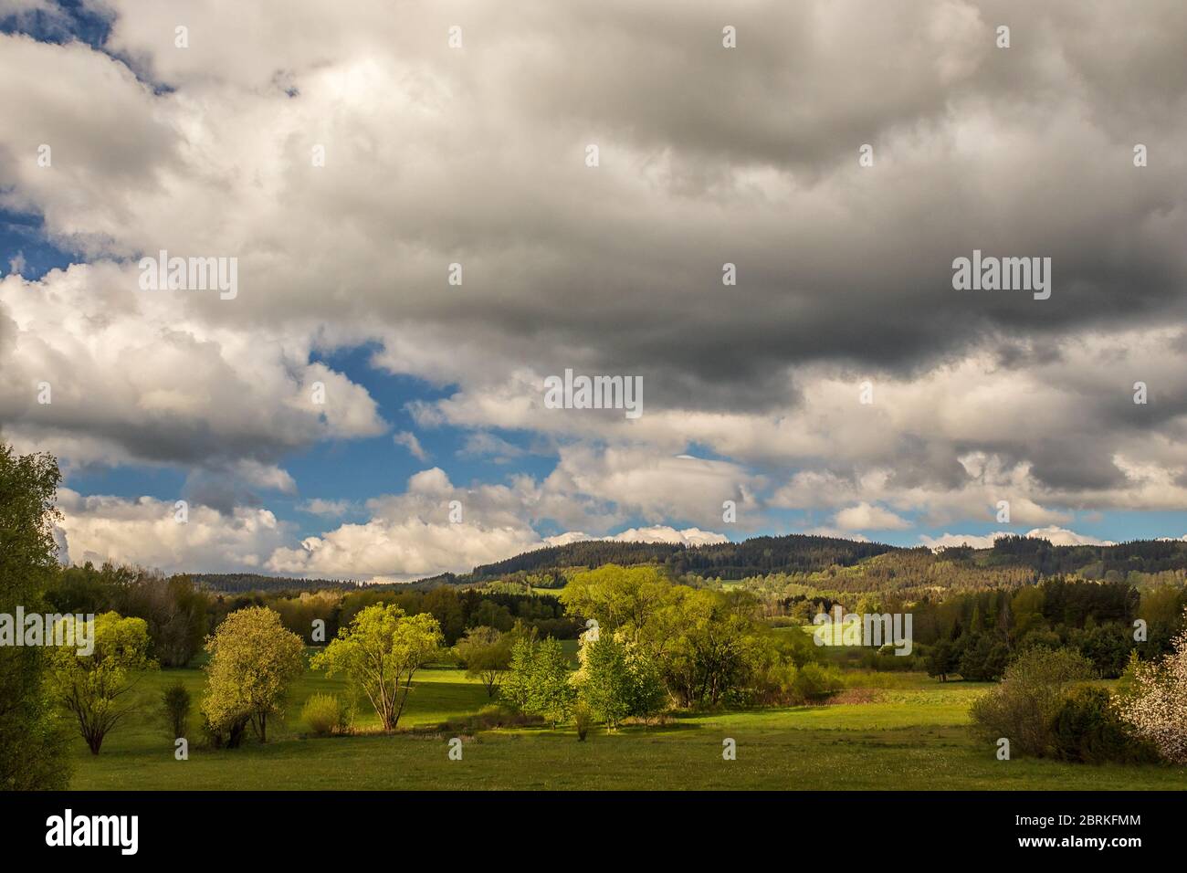 splendido paesaggio con prati, alberi, foreste, sullo sfondo colline boscose e cielo blu con nuvole bianche Foto Stock