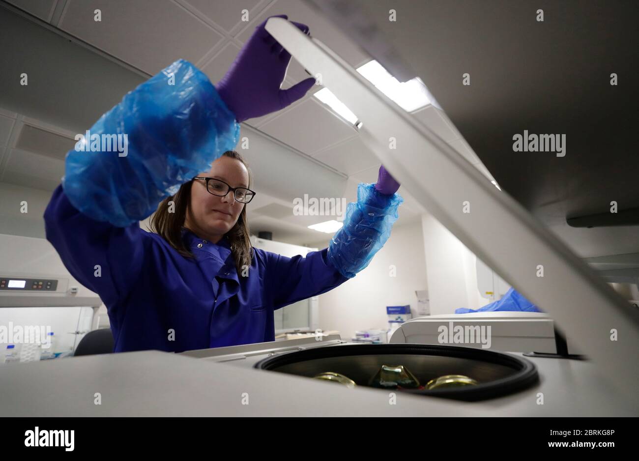 FRANCESCA Nice, PHD Research associate, prepara i campioni di sangue di pazienti con coronavirus per l'analisi nell'ambito dello studio TACTIC-R, presso il Blood Processing Lab dell'Istituto di Immunologia terapeutica e di malattie infettive di Cambridge. Foto Stock
