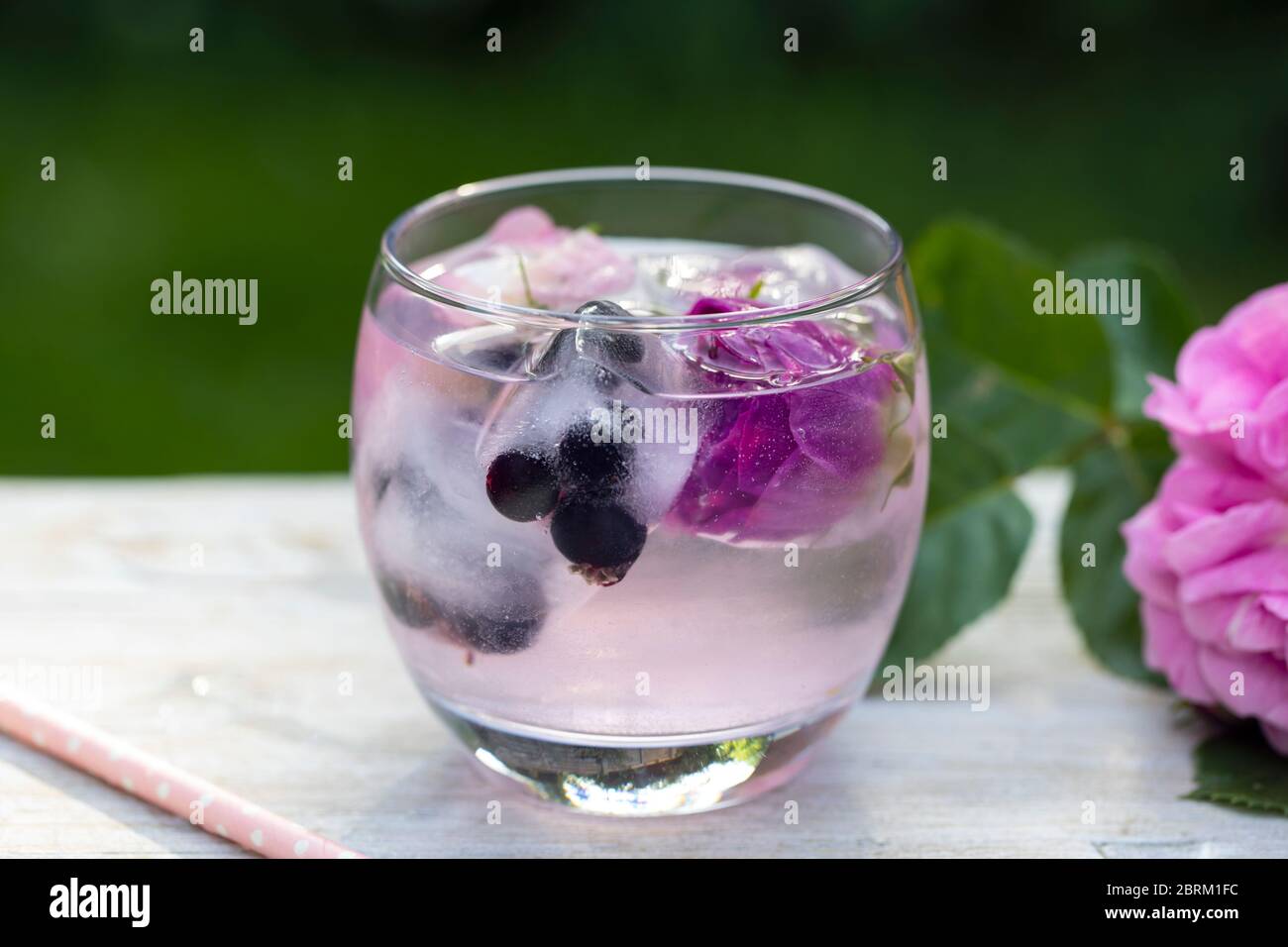 Gin infuso di rose e tonico in giardino Foto Stock