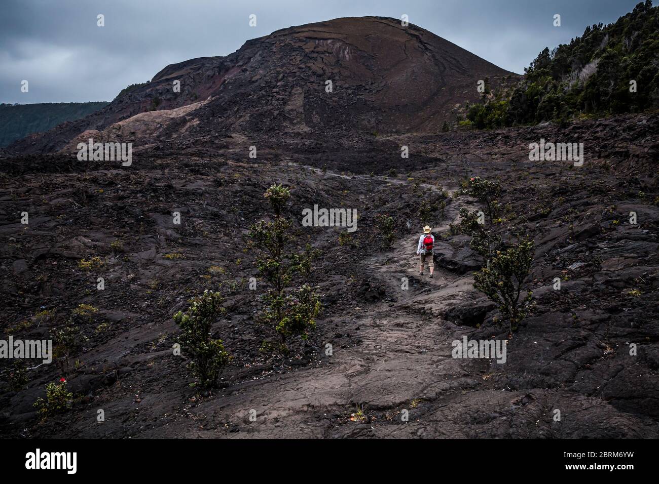 Una donna cammina verso pu’u Puaa'i o la Gushing Hill, una caratteristica vulcanica nel Parco Nazionale dei Vulcani delle Hawaii, Hawai'i, USA Foto Stock