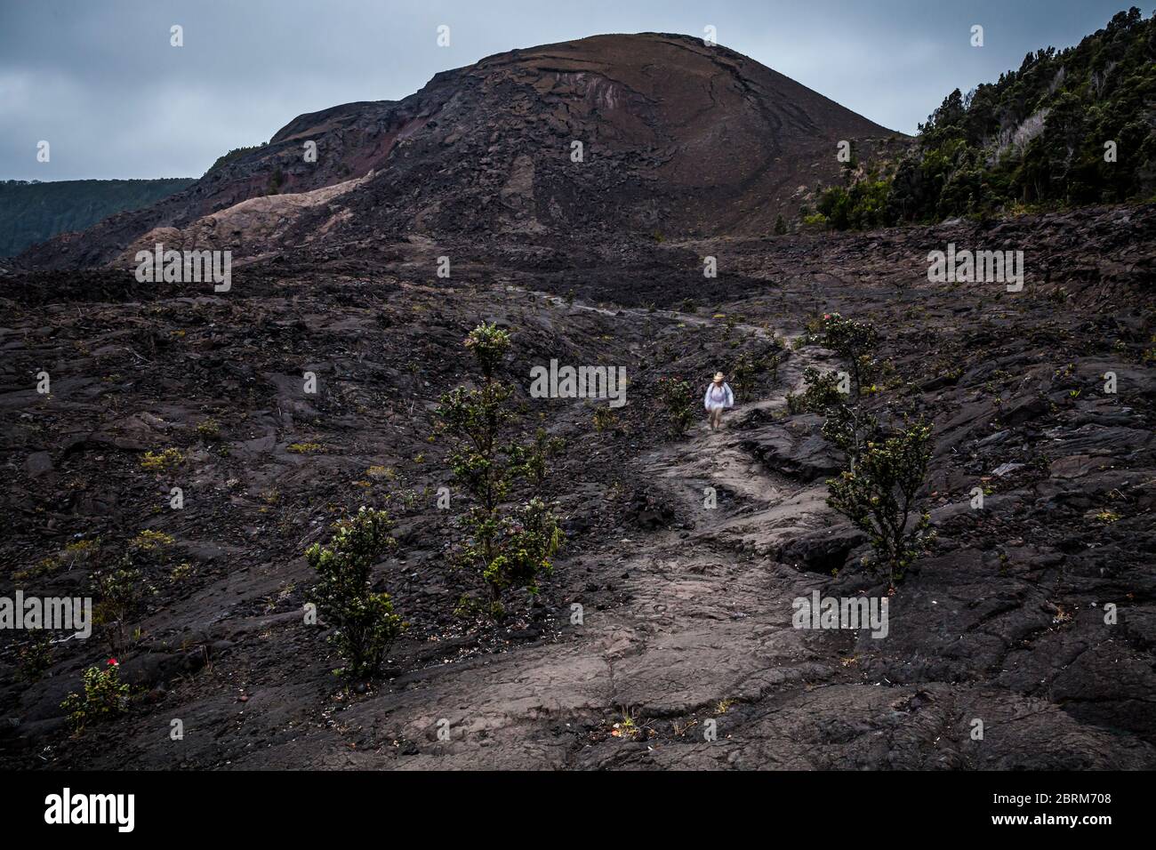 Una donna si allontana da pu’u Puaa'i o dalla Gushing Hill, una caratteristica vulcanica del Parco Nazionale dei Vulcani delle Hawaii, Hawai'i, USA Foto Stock
