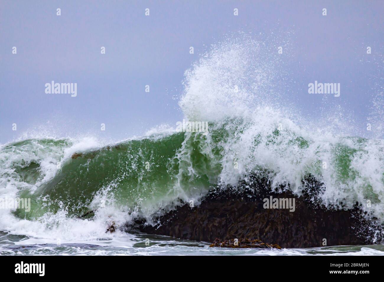 gigantesca onda verde che si schiantano su massi ricoperti di alghe, in un enorme spruzzi Foto Stock