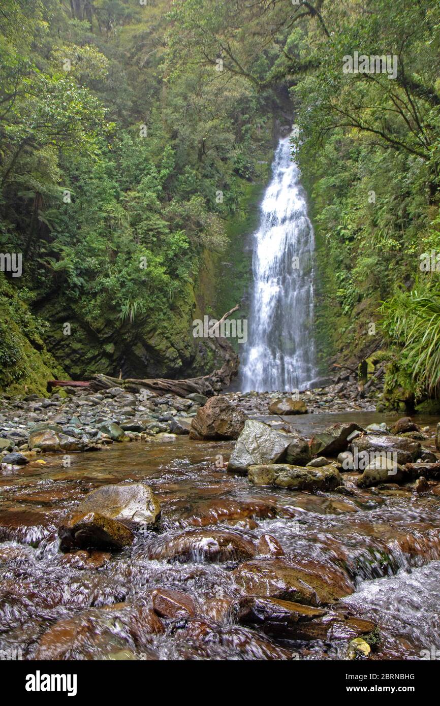 Little Homer Falls, passò lungo l'Hollyford Track Foto Stock