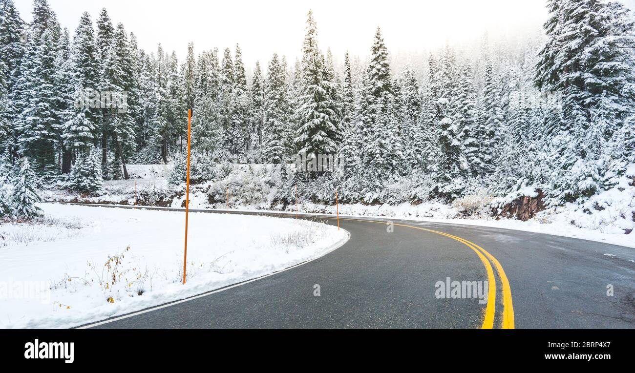 vista panoramica della strada nella foresta con neve coperta. Foto Stock