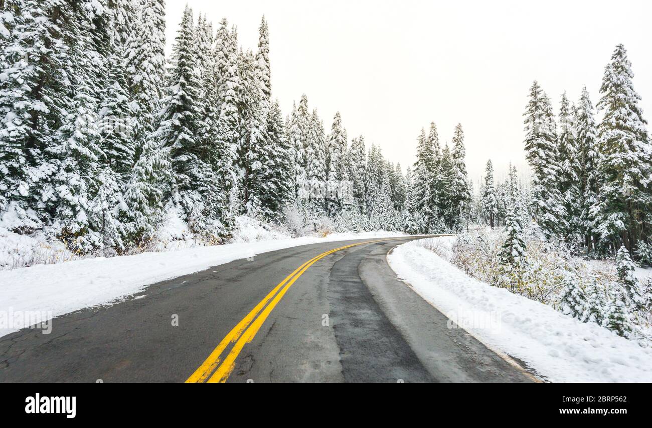 vista panoramica della strada nella foresta con neve coperta. Foto Stock