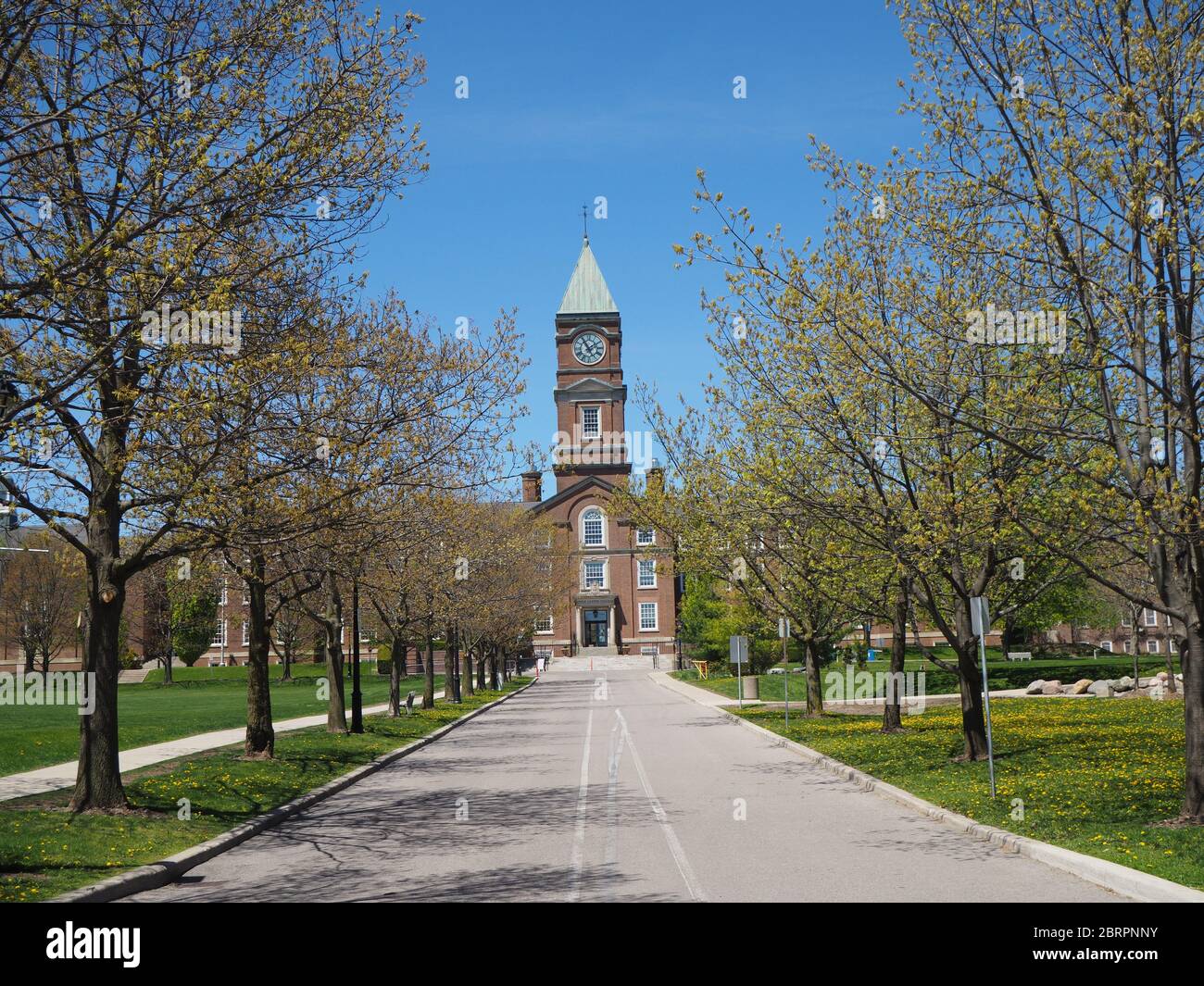 Upper Canada College Building, Toronto, con torre dell'orologio dietro il viale degli alberi Foto Stock