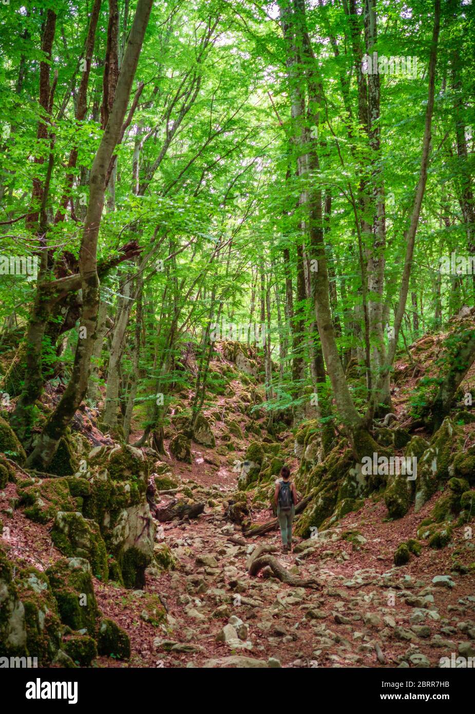 Monte Gennaro - la vetta dei Monti Lucretili, Lazio, Italia centrale; è la vetta più alta visibile da Roma Foto Stock