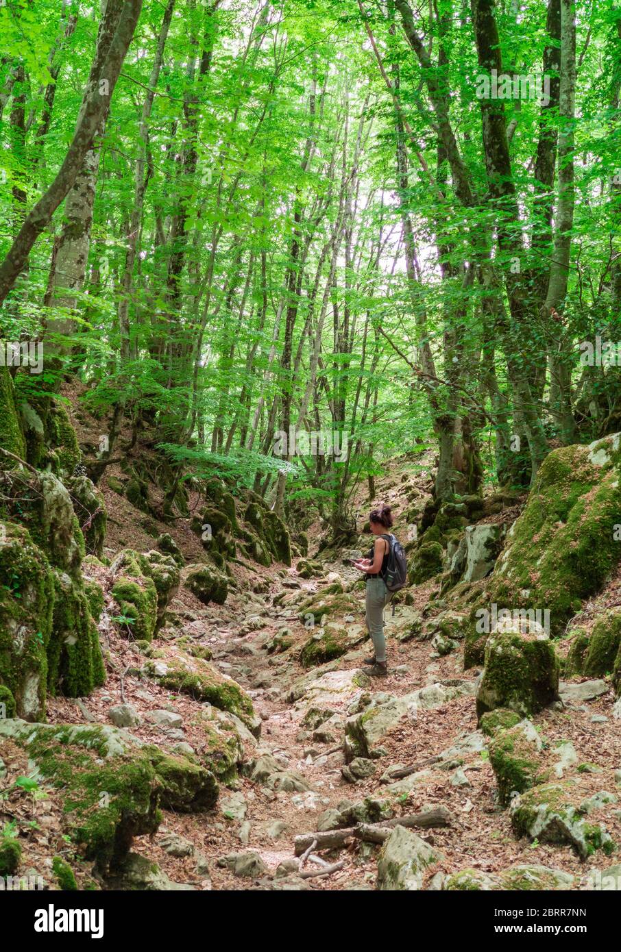 Monte Gennaro - la vetta dei Monti Lucretili, Lazio, Italia centrale; è la vetta più alta visibile da Roma Foto Stock