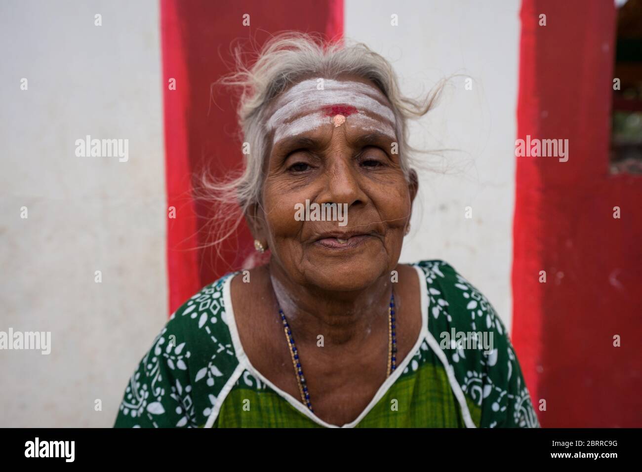 Jaffna / Sri Lanka - 15 agosto 2019: Ritratto di bella donna anziana indù con capelli bianchi e fronte dipinto per motivi religiosi Foto Stock