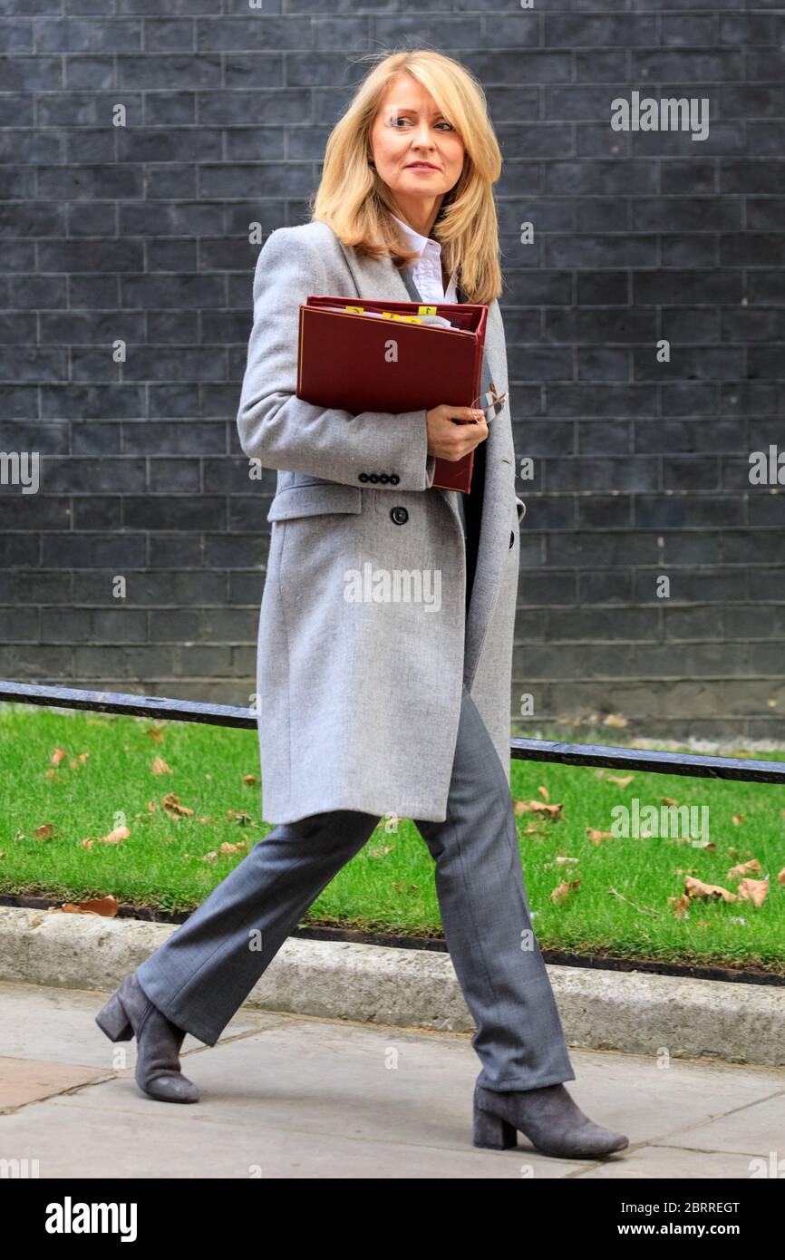 Esther McVey, Ministro degli alloggi e della pianificazione, membro del Parlamento, politico del Partito conservatore britannico, Downing Street, Londra Foto Stock