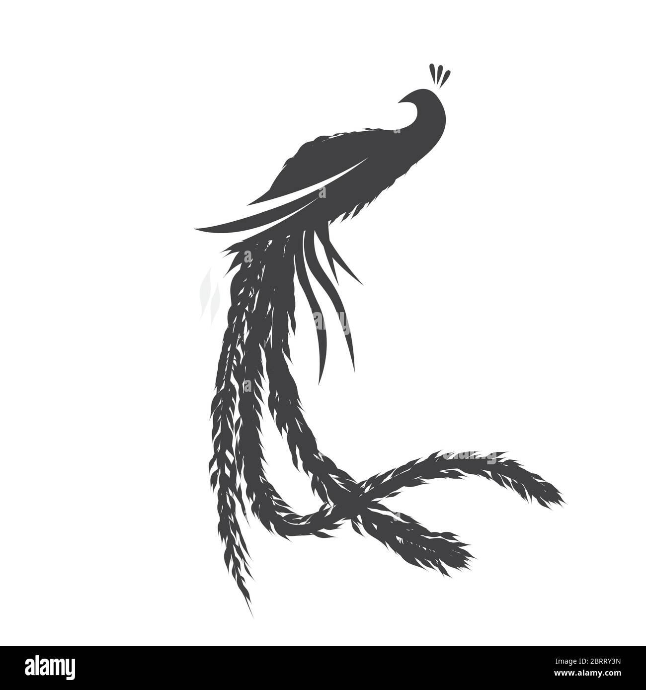 Modello con silhouette in pavone Illustrazione Vettoriale