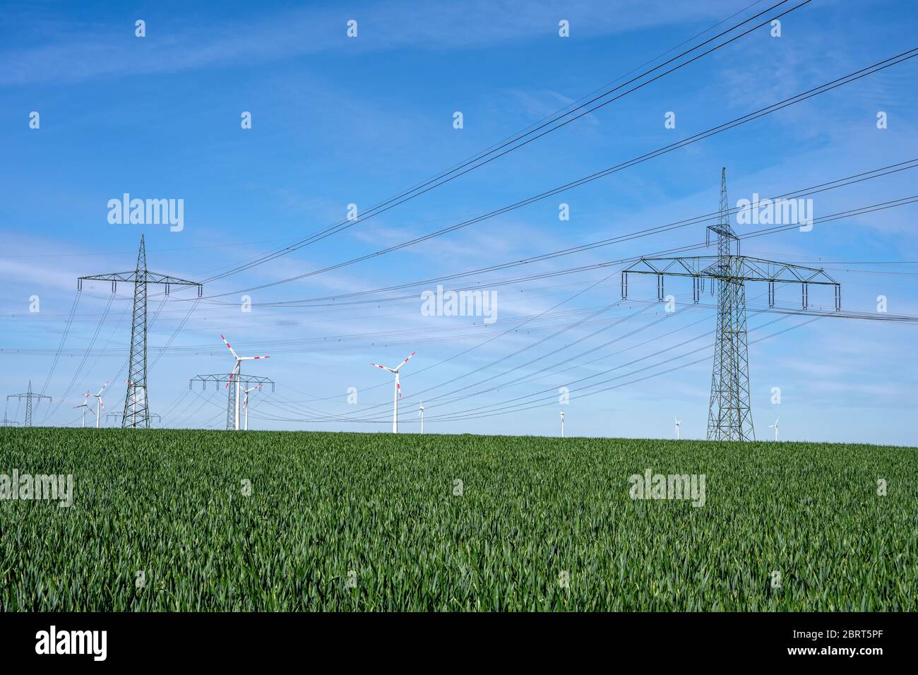 Linee elettriche aeree in un campo di cornfield visto in Germania Foto Stock