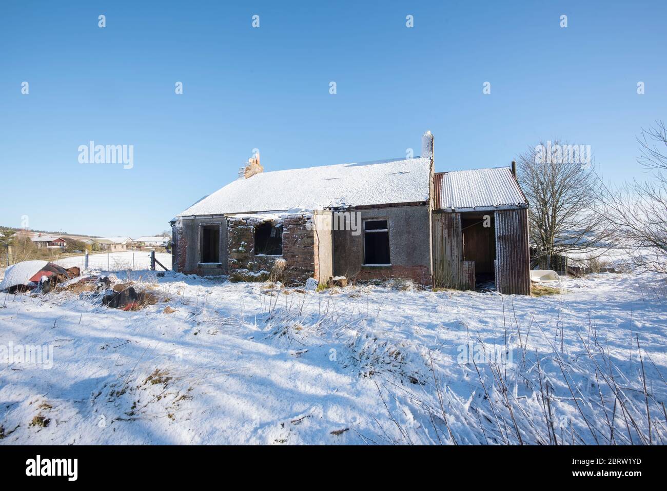 Casa derelict in neve coperta ambiente rurale nella campagna Lamarkshire Scozia. Foto Stock