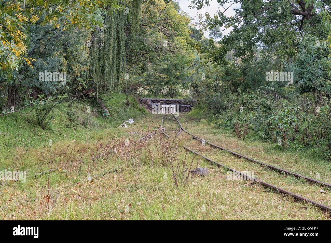 Un interruttore ferroviario, binari ferroviari, finecorsa di arresto del finecorsa e una leva di comando manuale a Ficksburg Foto Stock