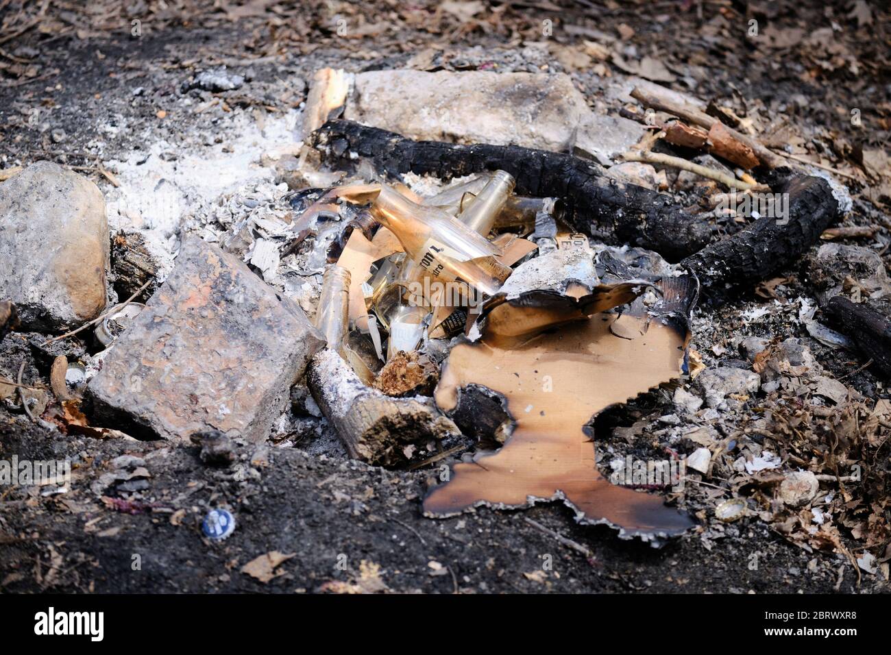 Residuo di un pozzo di fuoco di ceppo lasciato in parco di legno da persone che bevve là durante la notte Foto Stock
