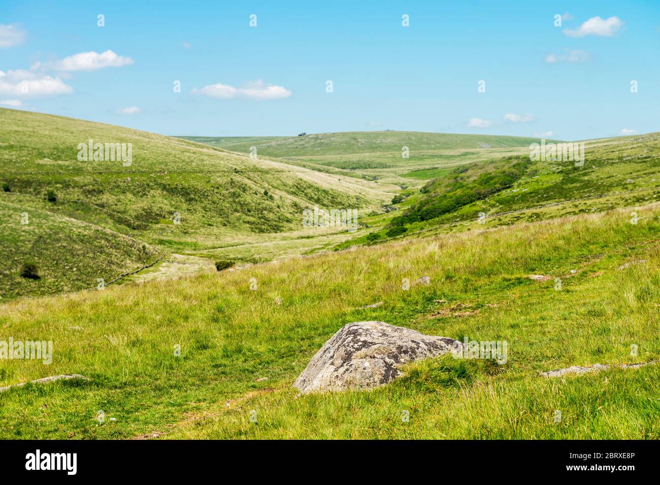 La Valle del fiume West Dart vicino a due ponti. Wistman's Wood e Tor lontano di Rough possono essere visti. Dartmoor National Park, Devon, Inghilterra, Regno Unito. Foto Stock