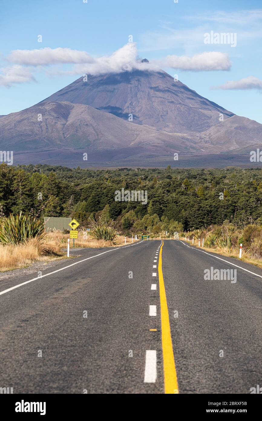 La strada per il Parco Nazionale di Tongariro che guarda verso il Monte Ngauruhoe, l'Isola del Nord, Nuova Zelanda Foto Stock