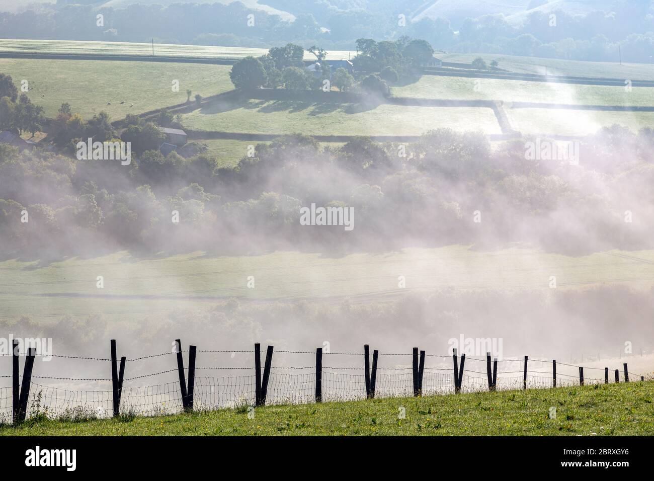 teign Valley, nebbia nella valle del teign Dartmoor ambiente, conservazione ambientale, questioni ambientali, Eternity, Foresta, come Away, Tree, UK Foto Stock