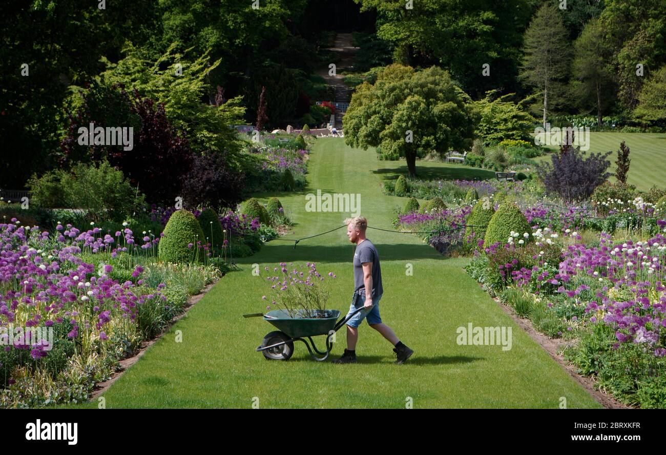 Il capo del team floreale Russ Watkins tende al giardino a RHS Harlow Carr nel Nord Yorkshire. Foto Stock