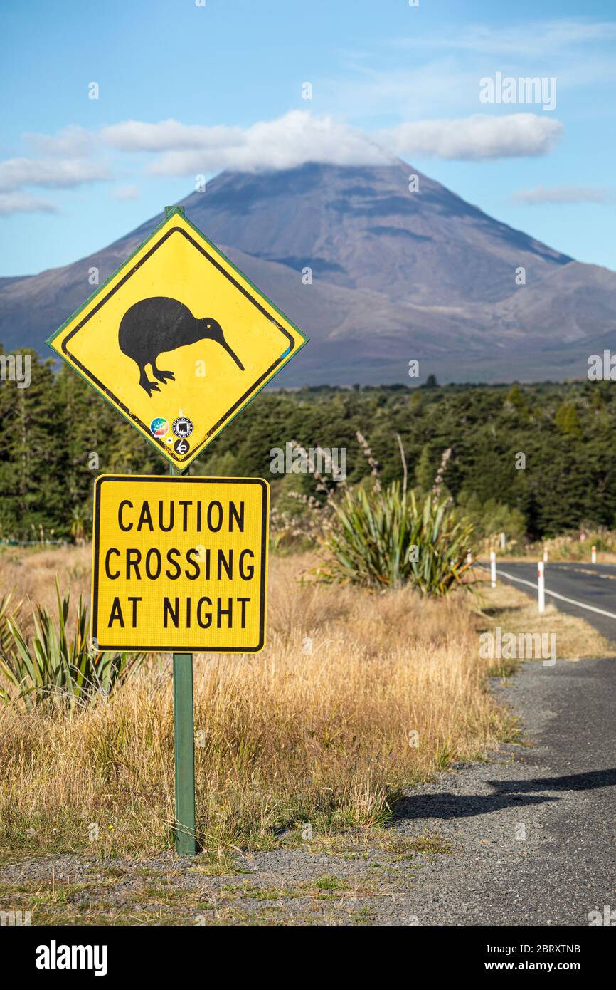 Cartello di avvertimento Kiwi sulla strada per il Parco Nazionale di Tongariro, Isola del Nord, Nuova Zelanda Foto Stock