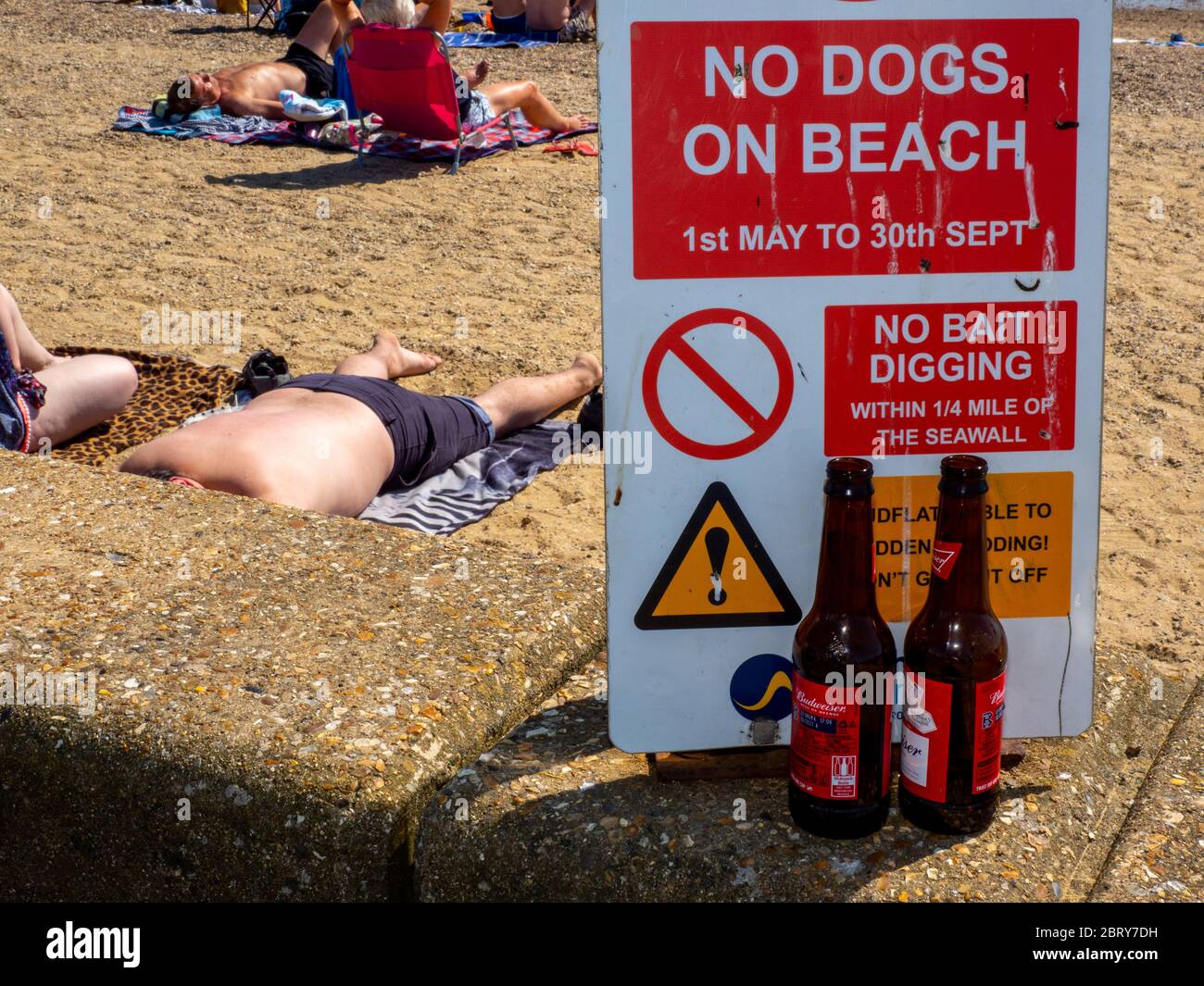 Un avviso per i proprietari di cani che intendono andare sulla spiaggia di Southen. Foto Stock