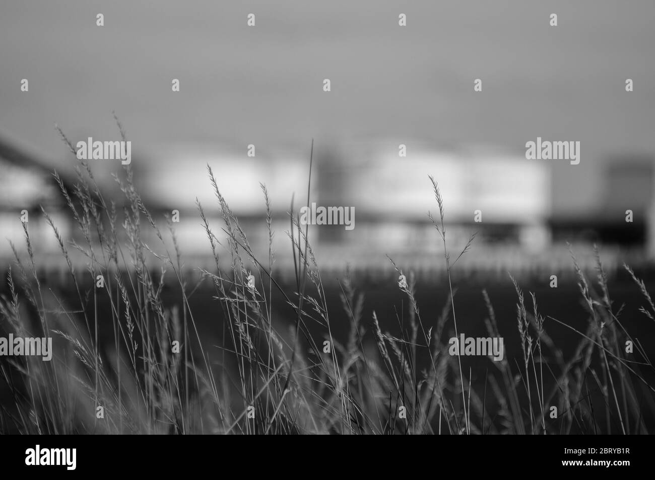 Terminal del petrolio greggio. Il terminale per olio è un impianto industriale per lo stoccaggio di olio e prodotti petrolchimici. Porta industriale. Terminale di porta. Foto Stock