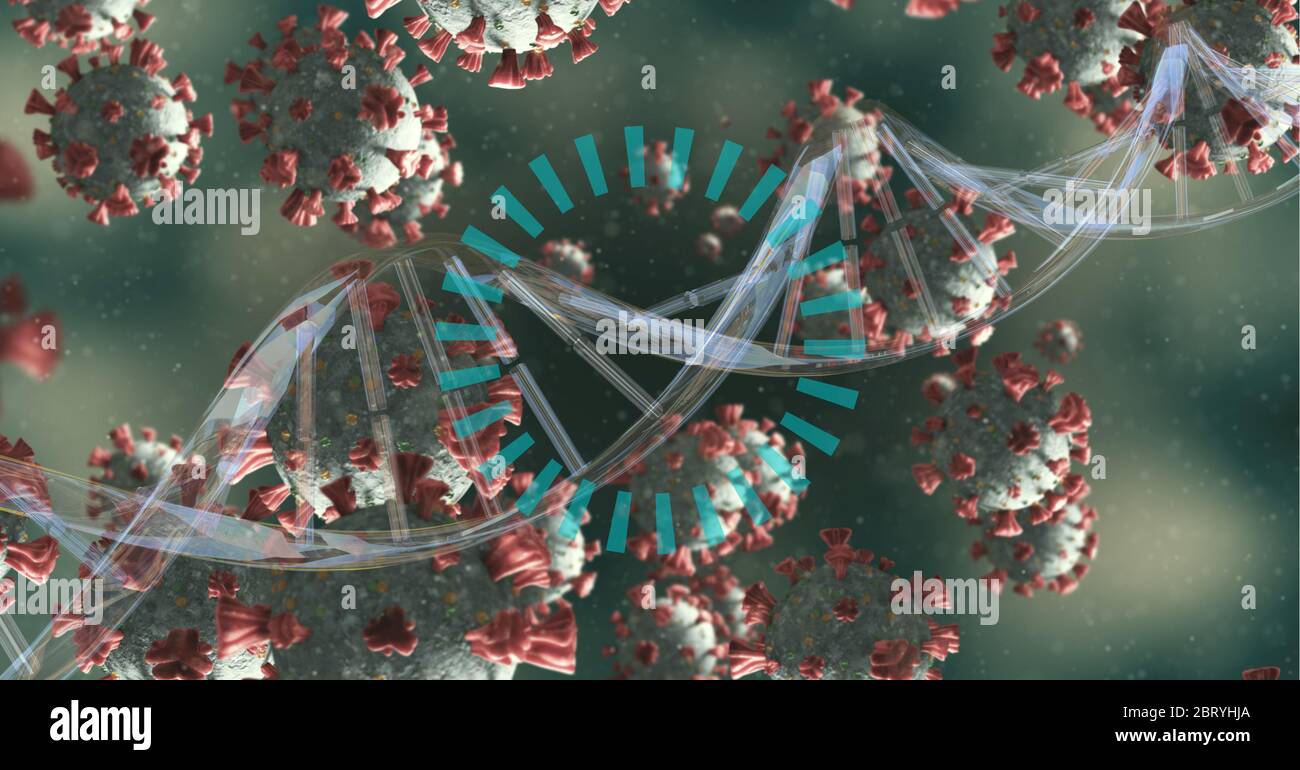 Ceppo di DNA su cellule di Coronavirus Covid19 fluttuanti e icona di caricamento Foto Stock