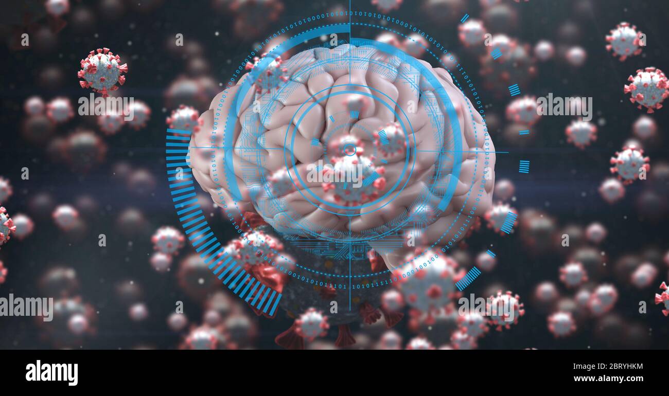 Scansione 3D del cervello umano su coronavirus covid19 pandemia Foto Stock