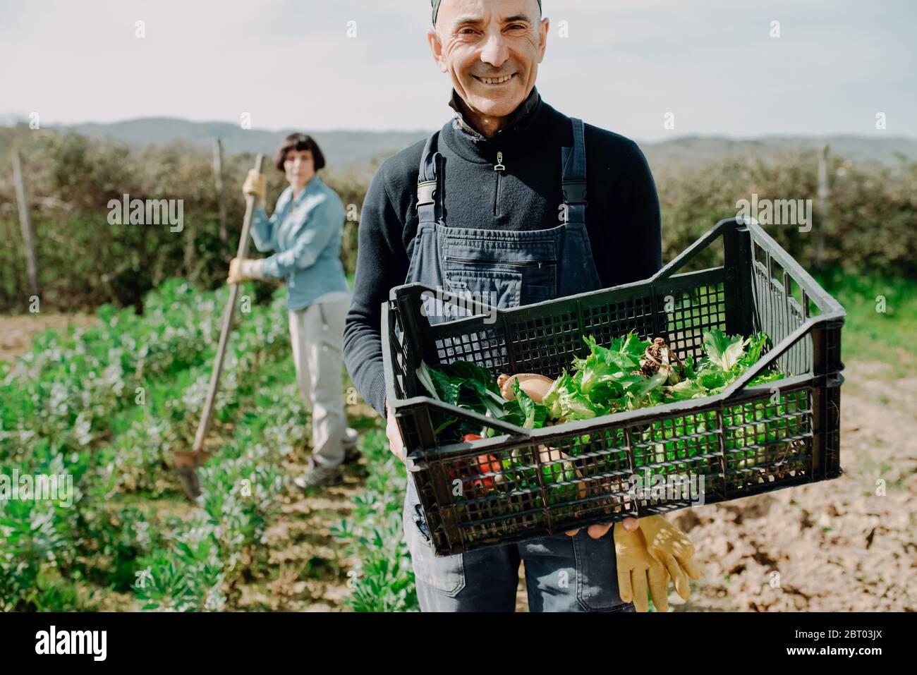 Uomo sorridente in piedi in orto, tenendo plastica creare con verdure appena raccolte. Foto Stock