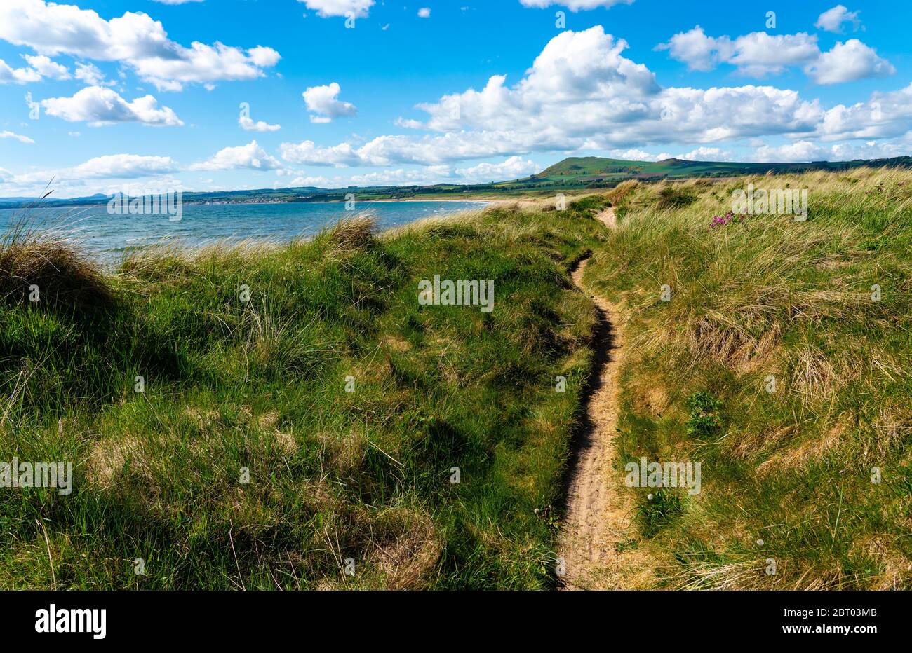 Vista del Fife Coastal Path nelle dune di sabbia a Dumbarnie su Largo Bay, Fife, Scozia, Regno Unito Foto Stock