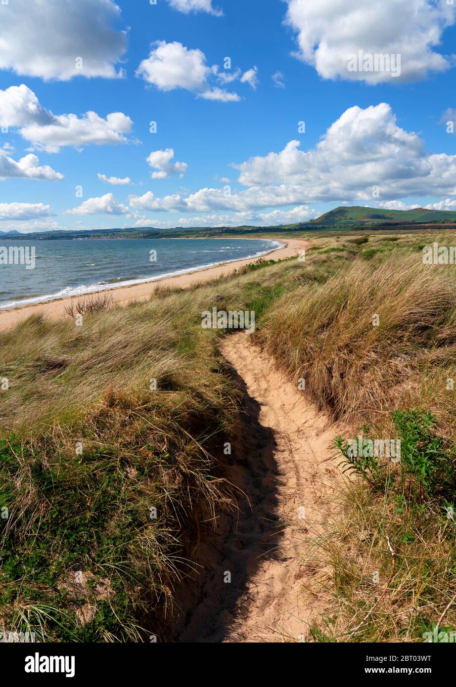 Vista del Fife Coastal Path nelle dune di sabbia a Dumbarnie su Largo Bay, Fife, Scozia, Regno Unito Foto Stock