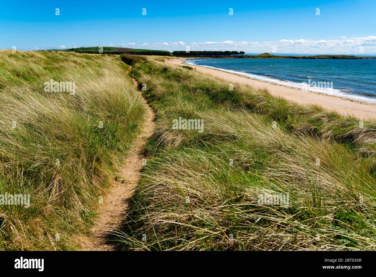 Vista del Fife Coastal Path nelle dune di sabbia a Dumbarnie su Largo Bay, Fife, Scozia, Regno Unito Foto Stock
