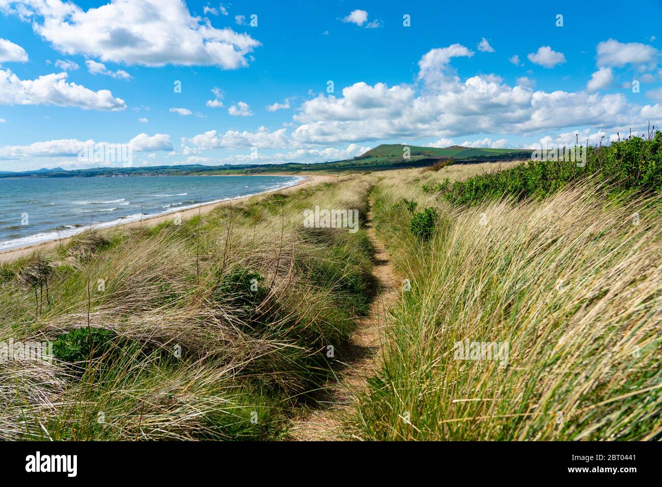 Vista del Fife Coastal Path nelle dune di sabbia a Dumbarnie su Largo Bay, Fife, Scozia, Regno Unito Foto Stock