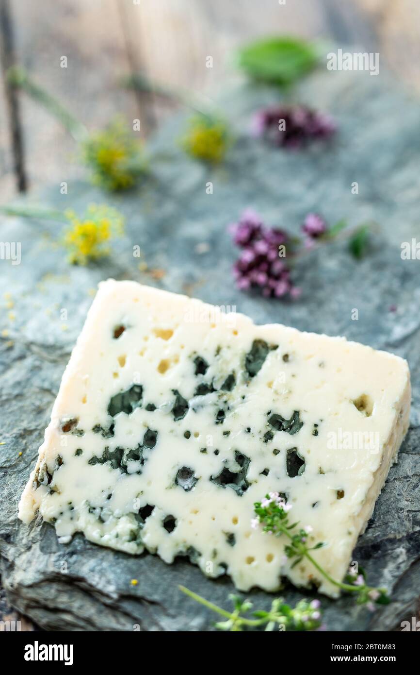 Blu francese formaggio Roquefort, fatta dal latte di pecora in grotte di Roquefort-sur-Soulzon sulla pietra grigia Foto Stock