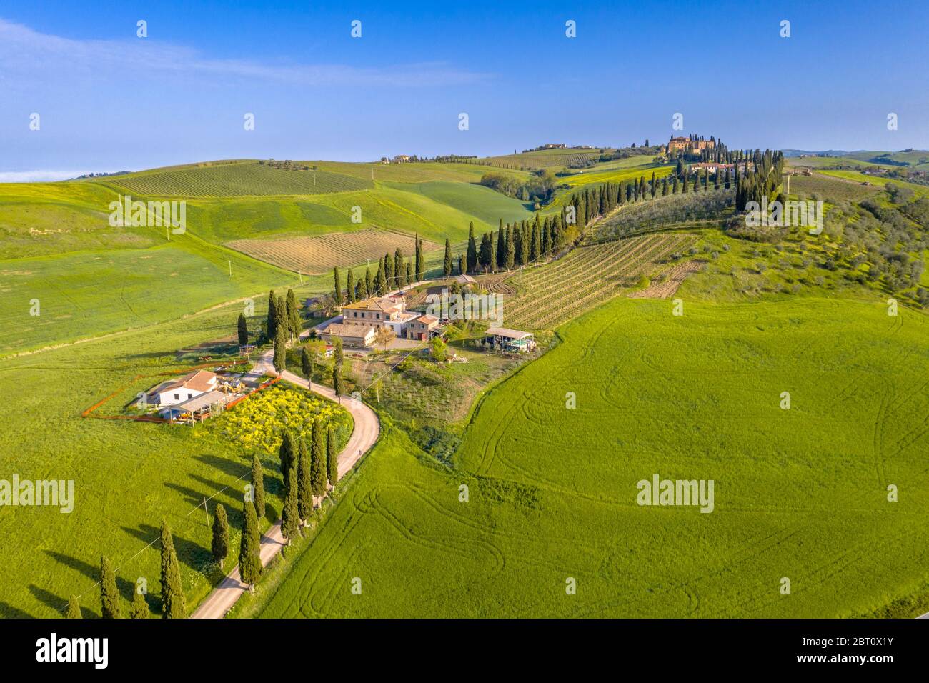 Veduta aerea della campagna Collinare della Toscana in nebbia al mattino in Val d'orcia, Italia, aprile. Foto Stock