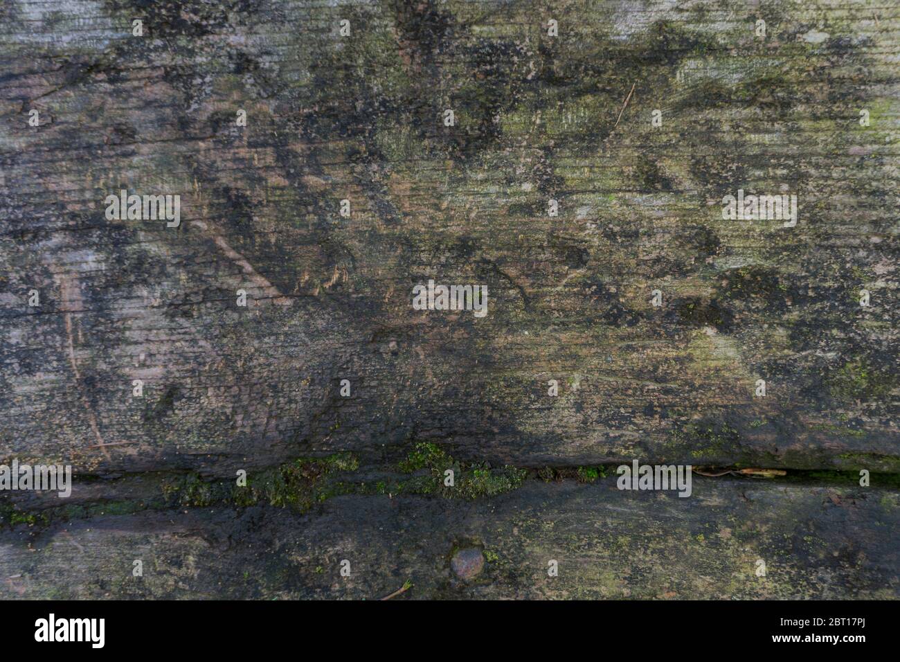 vecchia tessitura di legno dal vecchio tronco Foto Stock