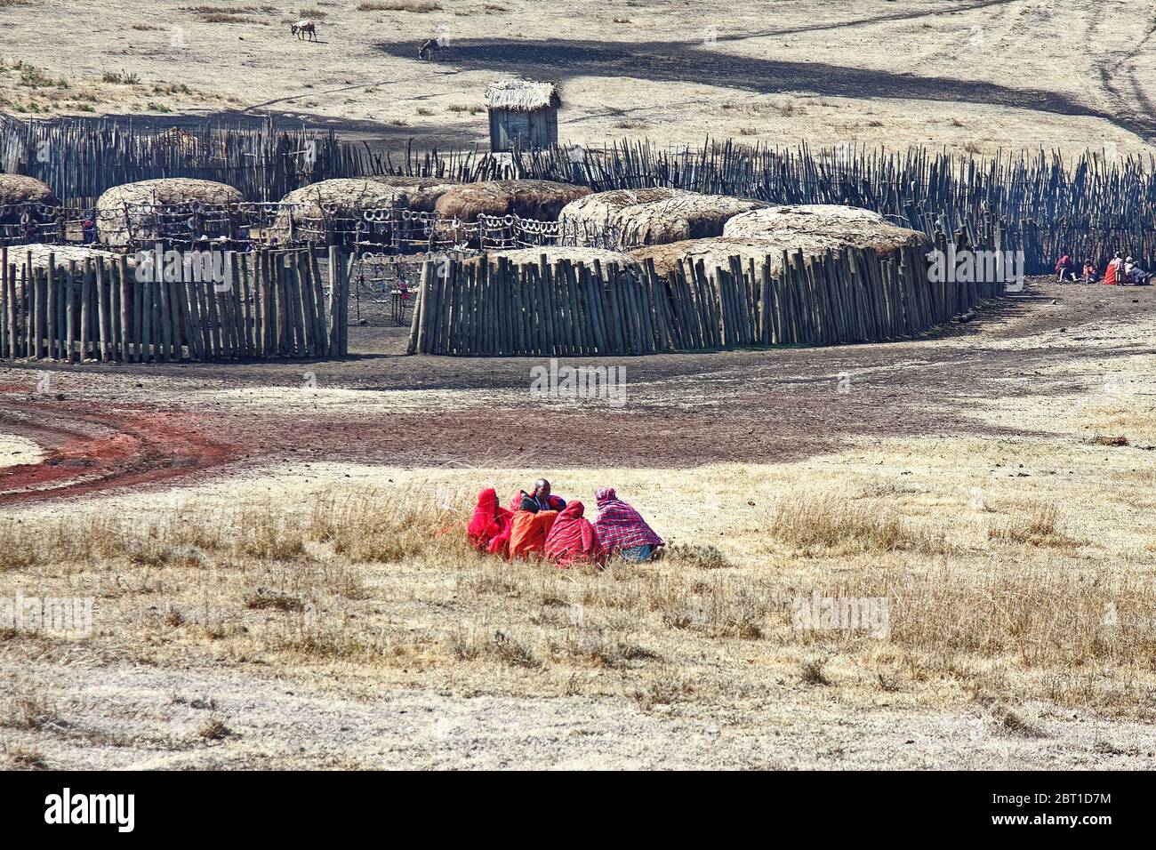 Villaggio Maasai, case di recinzione pali legno che circondano, campo aperto, uomini seduti all'esterno, abito rosso tradizionale; popolazioni indigene, strada sterrata, terra arida, Ta Foto Stock