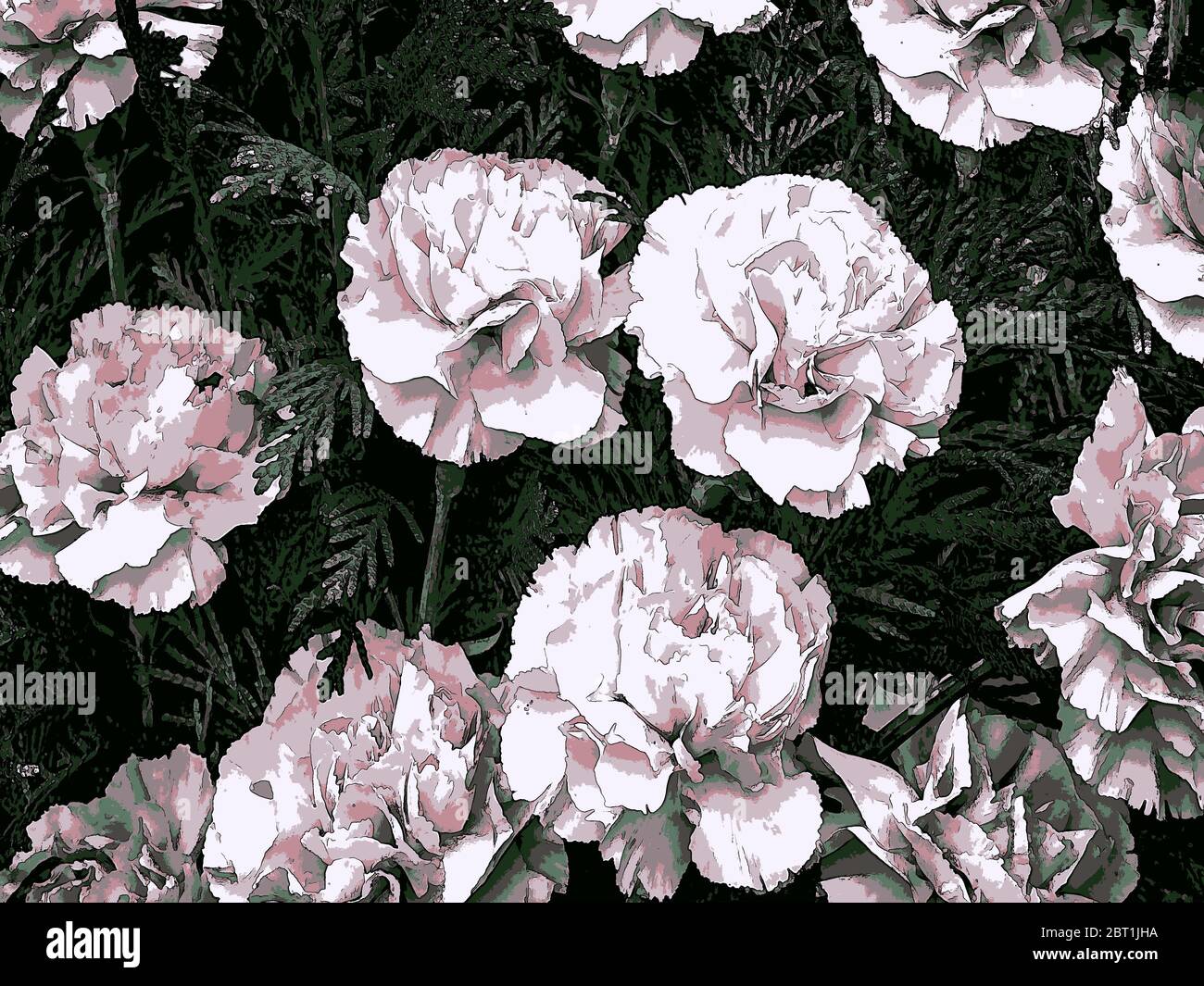 Fiori sfondo con fiori e rosa Foto Stock