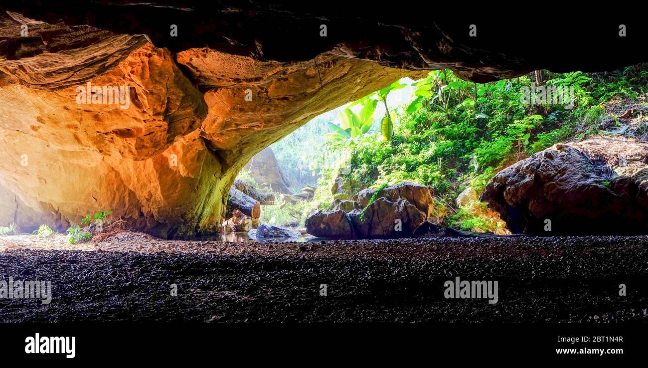 Hang Son Doong Cave, Vietnam Foto Stock