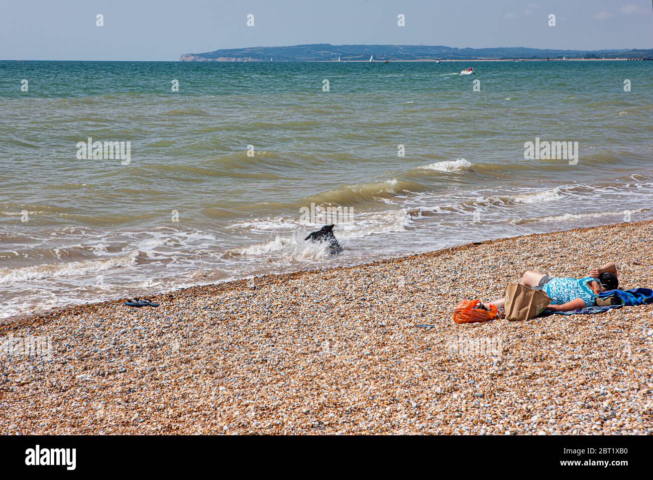 Una donna prende il sole su una spiaggia di ciottoli a Camber Sands, East Sussex, UK, in una calda giornata estiva mentre il suo cane spruzzi in mare. Foto Stock